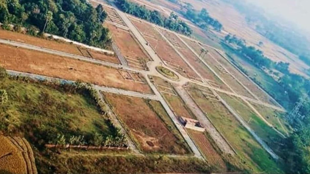 Plots